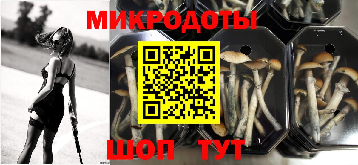 Подольск  Галлюциногенные грибы мицелий  Вход с VPN 